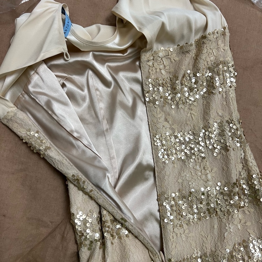 Antonio Melani sequin and silk blend knee length Dress with Flutter Cap Sleeves - Picture 8 of 8